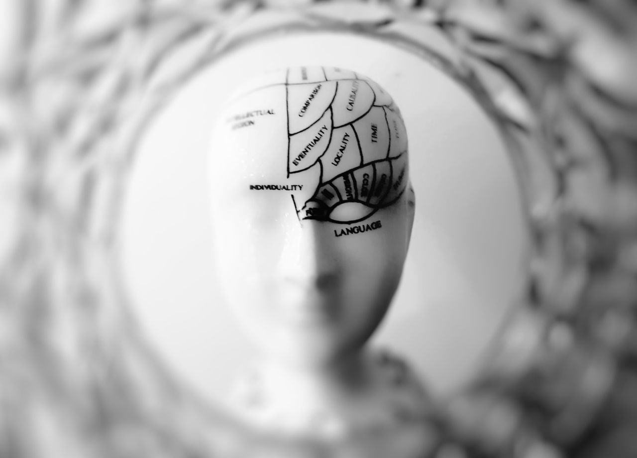 our-services-02 Close-up black and white image of a phrenology head with brain sections labeled.